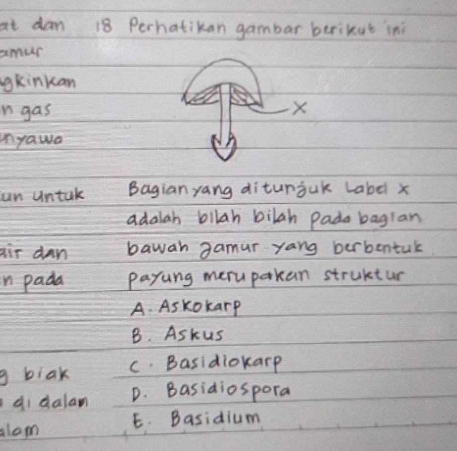 at dan 18 Perhatikan gambar berikut ini
amur
gkinkan
n gas
unyawa 
un untak Bagian yang ditursuk Label x
adalah bilah bilah Pada baglan
air dan bawan gamur yang burbentuk
n pada payung merupakan struktur
A. Askokarp
B. Askus
g blak
C. Basidiokarp
di dalam D. Basidiospora
E. Basidium
alam