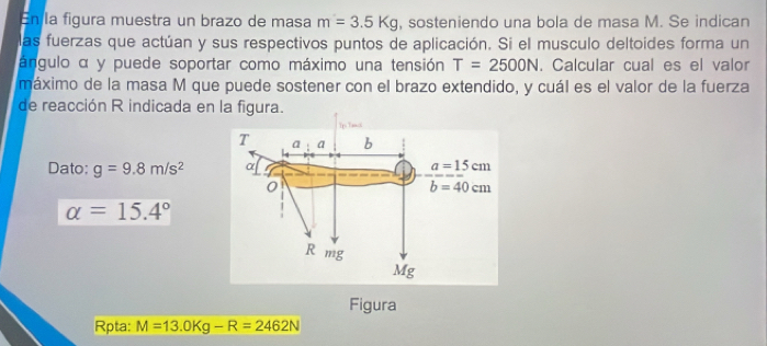 En la figura muestra un brazo de masa m=3.5Kg , sosteniendo una bola de masa M. Se indican
las fuerzas que actúan y sus respectivos puntos de aplicación. Si el musculo deltoides forma un
ángulo α y puede soportar como máximo una tensión T=2500N. Calcular cual es el valor
máximo de la masa M que puede sostener con el brazo extendido, y cuál es el valor de la fuerza
de reacción R indicada en la figura.
Dato: g=9.8m/s^2
alpha =15.4°
Figura
Rpta: M=13.0Kg-R=2462N