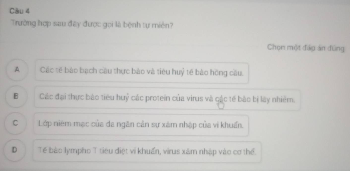 Trường hợp sau đây được gọi là bệnh tự miền?
Chọn một đáp án đúng
A Các tế bào bạch cầu thực bào và tiêu huỷ tế bào hồng cầu.
B Các đại thực bào tiêu huỷ các protein của virus và các tế bào bị lây nhiêm.
C Lớp niêm mạc của da ngăn cản sự xâm nhập của vì khuẩn.
D Tê bào lympho T tiêu điệt vi khuẩn, virus xâm nhập vào cơ thể.