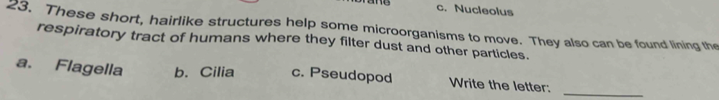 are c. Nucleolus
23. These short, hairlike structures help some microorganisms to move. They also can be found lining the
respiratory tract of humans where they filter dust and other particles.
a. Flagella b. Cilia c. Pseudopod Write the letter:_