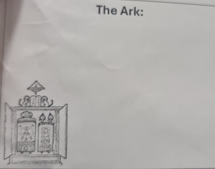 The Ark: