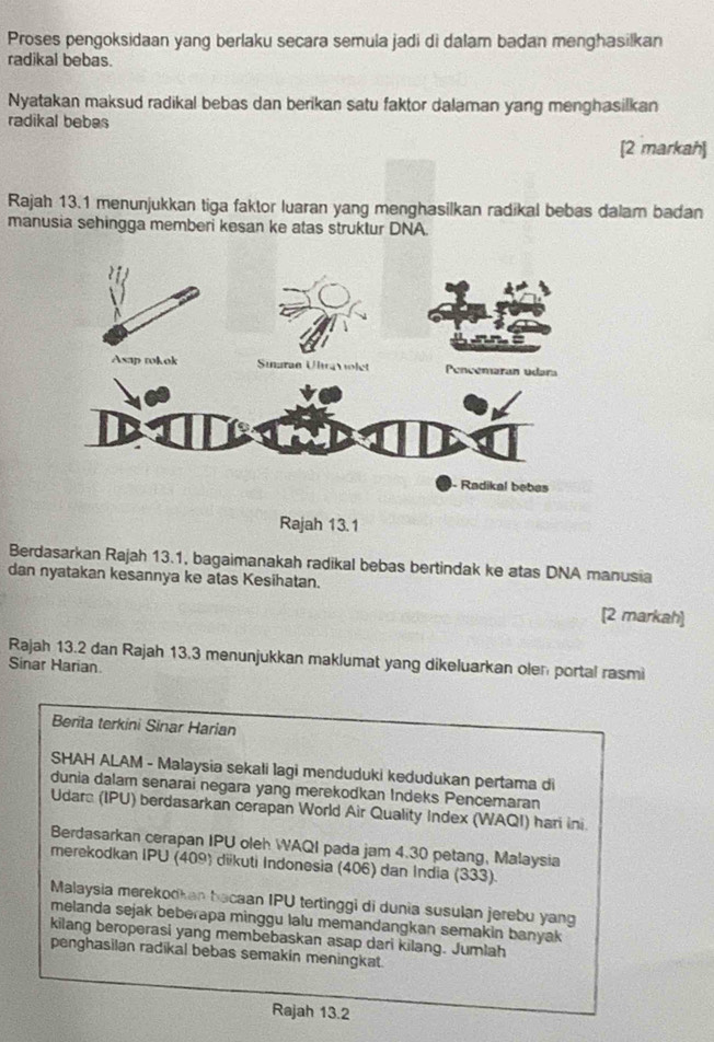 Proses pengoksidaan yang berlaku secara semula jadi di dalam badan menghasilkan 
radikal bebas. 
Nyatakan maksud radikal bebas dan berikan satu faktor dalaman yang menghasilkan 
radikal bebas 
[2 markah] 
Rajah 13.1 menunjukkan tiga faktor luaran yang menghasilkan radikal bebas dalam badan 
manusia sehingga memberi kesan ke atas struktur DNA. 
Rajah 13.1 
Berdasarkan Rajah 13.1, bagaimanakah radikal bebas bertindak ke atas DNA manusia 
dan nyatakan kesannya ke atas Kesihatan. 
[2 markah] 
Rajah 13.2 dan Rajah 13.3 menunjukkan maklumat yang dikeluarkan olen portal rasmi 
Sinar Harian. 
Berita terkini Sinar Harian 
SHAH ALAM - Malaysia sekali lagi menduduki kedudukan pertama di 
dunia dalam senarai negara yang merekodkan Indeks Pencemaran 
Udara (IPU) berdasarkan cerapan World Air Quality Index (WAQI) hari ini. 
Berdasarkan cerapan IPU oleh WAQI pada jam 4.30 petang, Malaysia 
merekodkan IPU (409) diikuti Indonesia (406) dan India (333). 
Malaysia merekodkan bacaan IPU tertinggi di dunia susulan jerebu yang 
melanda sejak beberapa minggu lalu memandangkan semakin banyak 
kilang beroperasi yang membebaskan asap dari kilang. Jumlah 
penghasilan radikal bebas semakin meningkat. 
Rajah 13.2