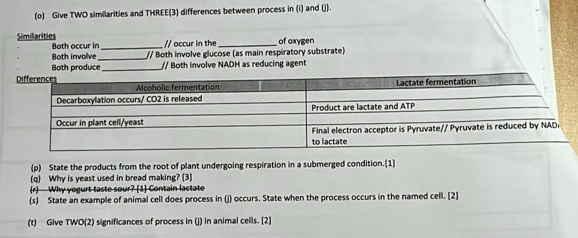 Give TWO similarities and THREE(3) differences between process in (i) and (j). 
Similarities 
Both occur in _// occur in the_ of oxygen 
Both involve_ // Both involve glucose (as main respiratory substrate) 
Both produce_ // Both involve NADH as reducing agent 
(p) State the products from the root of plant undergoing respiration in a submerged condition.[1] 
(q) Why is yeast used in bread making? [3] 
(r) Why yogurt taste sour? [1] Contain lactate 
(s) State an example of animal cell does process in (j) occurs. State when the process occurs in the named cell. [2] 
(t) Give TWO(2) significances of process in (j) in animal cells. [2]