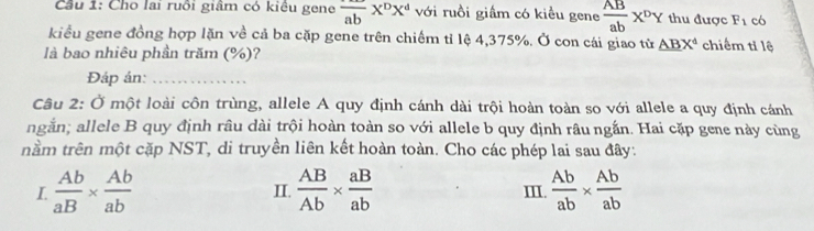 Cầu 1: Cho lai ruồi giâm có kiêu gene frac abX^DX^d với ruồi giầm có kiều gene  AB/ab x^DY thu được F_1 có 
kiểu gene đồng hợp lặn về cả ba cặp gene trên chiếm tỉ lệ 4,375%. Ở con cái giao tử _ ABX^d chiếm tǐ lệ 
là bao nhiêu phần trăm (%)? 
Đáp án:_ 
Câu 2: Ở một loài côn trùng, allele A quy định cánh dài trội hoàn toàn so với allele a quy định cánh 
ngắn; allele B quy định râu dài trội hoàn toàn so với allele b quy định râu ngắn. Hai cặp gene này cùng 
nầm trên một cặp NST, di truyền liên kết hoàn toàn. Cho các phép lai sau đây: 
I  Ab/aB *  Ab/ab 
II.  AB/Ab *  aB/ab  III.  Ab/ab *  Ab/ab 