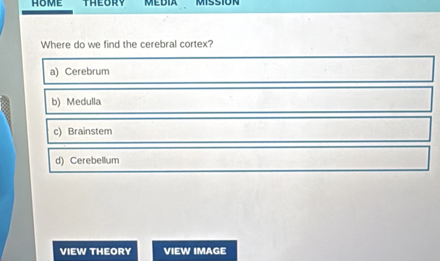 THEORY MEDIA MISSION
Where do we find the cerebral cortex?
a) Cerebrum
b) Medulla
c) Brainstem
d) Cerebellum
VIEW THEORY VIEW IMAGE