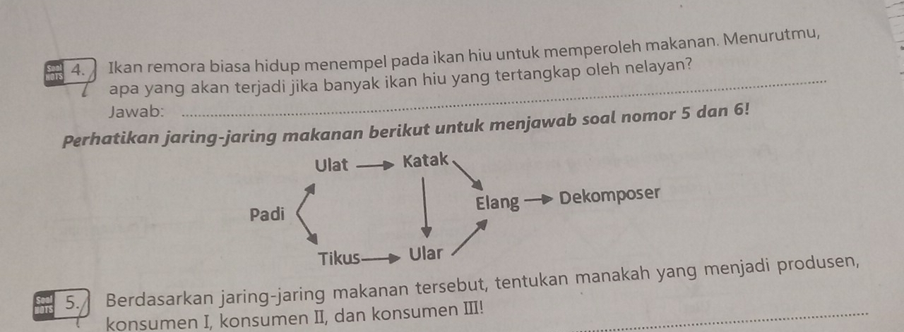 Ikan remora biasa hidup menempel pada ikan hiu untuk memperoleh makanan. Menurutmu, 
apa yang akan terjadi jika banyak ikan hiu yang tertangkap oleh nelayan? 
Jawab: 
Perhatikan jaring-jaring makanan berikut untuk menjawab soal nomor 5 dan 6! 
5. Berdasarkan jaring-jaring makanan tersebut, tentukan mana menjadi produsen, 
konsumen I, konsumen II, dan konsumen III!