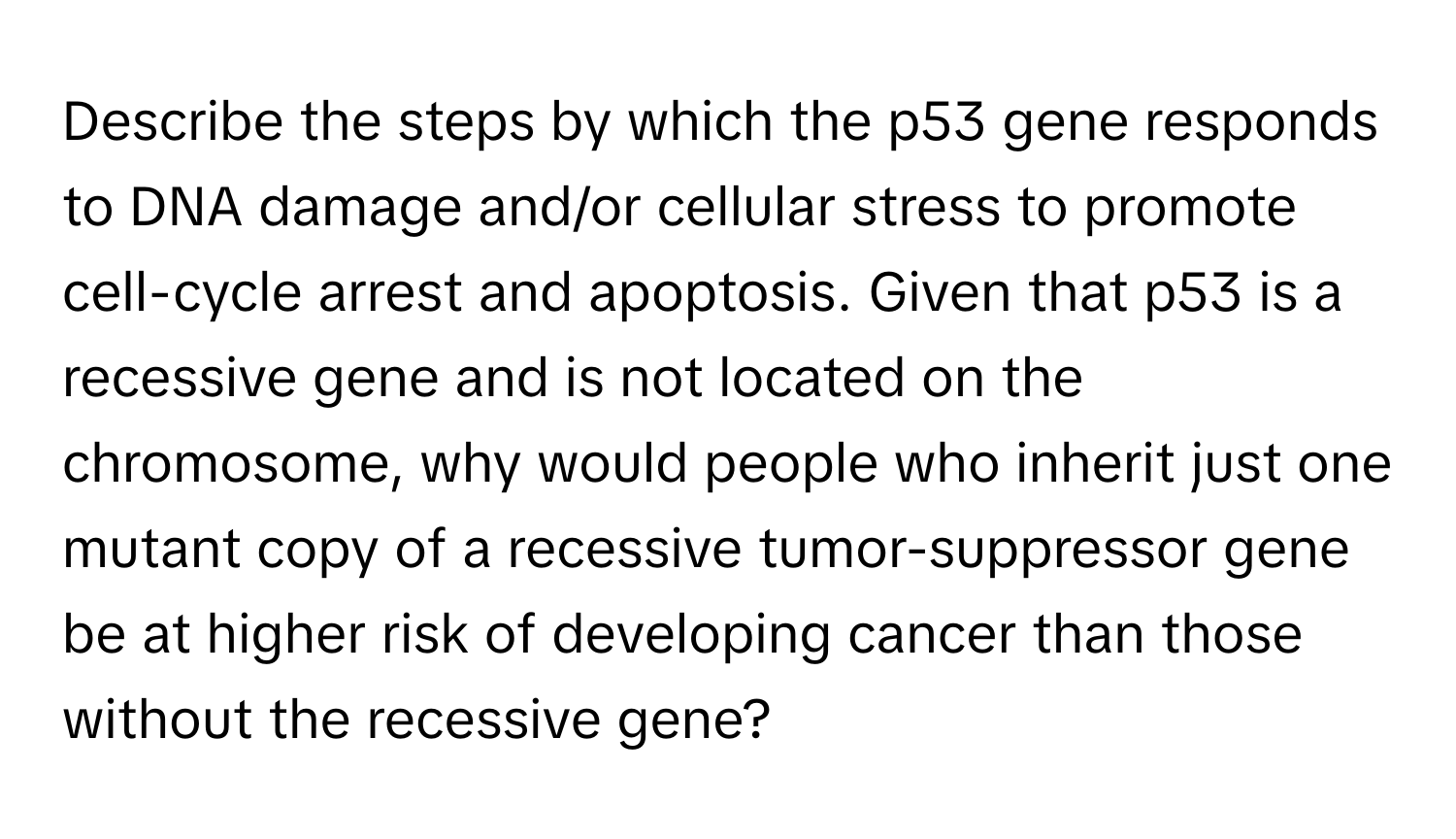 Describe the steps by which the p53 gene responds to DNA damage and/or cellular stress to promote cell-cycle arrest and apoptosis. Given that p53 is a recessive gene and is not located on the chromosome, why would people who inherit just one mutant copy of a recessive tumor-suppressor gene be at higher risk of developing cancer than those without the recessive gene?