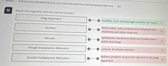 RADES / MICROSCOPES, MACROMOLECULES, CELL FUNCTION AND STRUCTURE (24-25)-09/22/2024 18:16 / Q22
22 Match the organelle with the correct function
Golgi Apparatus modifies, sorts and packages proteins for export
stores water, salts, proteins and carbohydrates
Nucleus (nutrients) and other materials
synthesizes membrane lipids and breaks down
Vacuole toxins and drugs
Rough Endoplasmic Reticulum controls all cellular activities
Smooth Endoplasmic Reticulum delivers proteins around the cell and to the golgi
apparatus