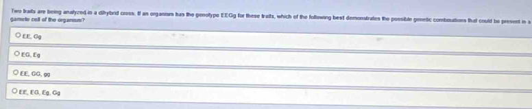 Two traits are being analyzed in a ditybrid cross. If an organism has the genotype EEGg for these traits, which of the following best demonstrates the possible genetic combinations that could be present in a
gamete cell of the orgaresm?
EE, Gg
EG, Eg
EE, GG, 90
EE, EG, Eg, Gg