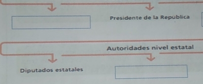 Presidente de la República 
Autoridades nivel estatal 
Diputados estatales