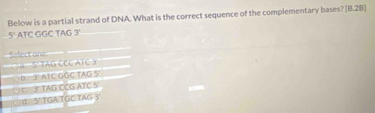 Below is a partial strand of DNA. What is the correct sequence of the complementary bases? [B.2B]
5' ATC GGC TAG 3'
Solect one:
a 5' TAG CCC ATC 3
b. 3 ATC GGC TAG 5^1
C. 3° TAG CCG ATC 5^1
d. 5^ TGA TGC TAG 3'