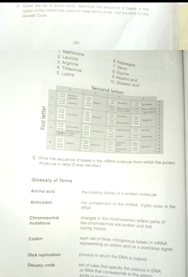 Given the list of amino acids, determine the sequence of bases in the 
codon of the mRNA that codes for these amino acids. Use the table for the 
Genetic Code. 
295 
1. Methionine 
2. Leucine 
3. Arginine 
6. Asparagine 
7. Valine 
8. Glycine 
5. Lysine 
4. Threonine 9. Aspartic acid 
10. 
E. Write the sequence of bases in the mRNA molecule from which the protein 
molecule in letter D was identified. 
Glossary of Terms 
Amino acid the building blocks of a protein molecule 
Anticodon tRNA 
the complement of the mRNA; triplet code in the 
Chromosomal changes in the chromosomes where parts of 
the chromosomes are broken and lost 
mutations during mitosis. 
Codon 
each set of three nitrogenous bases in mRNA 
representing an amino acid or a start/stop signal 
DNA replication process in which the DNA is copied 
Genetic code set of rules that specify the codons in DNA 
or RNA that corresponds to the aminn 
aids in prot