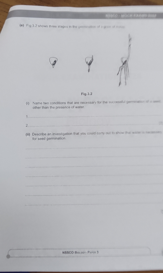 NSSCO - MOCK EXAMS 2024 
(e) Fig.3.2 shows three stages in the germination of a grain of maize 
Fig.3.2 
(i) Name two conditions that are necessary for the successful germination of a seec 
other than the presence of water. 
_ 
1. 
2. 
_2 
(ii) Describe an investigation that you could carry out to show that water is necessan 
for seed germination. 
_ 
_ 
_ 
_ 
_ 
_ 
_ 
_ 
_ 
NSSCO Biology- Paper 3