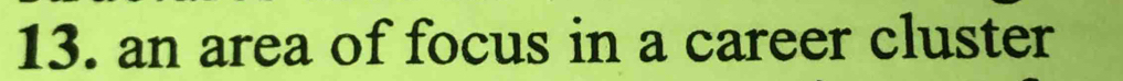 an area of focus in a career cluster