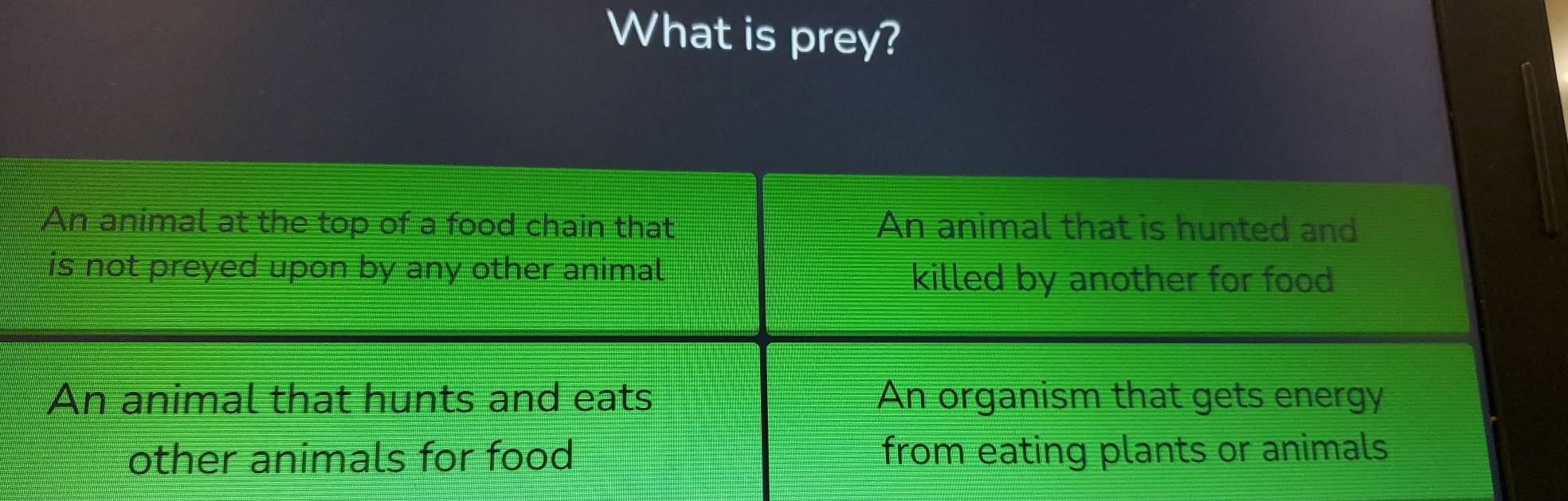 What is prey?