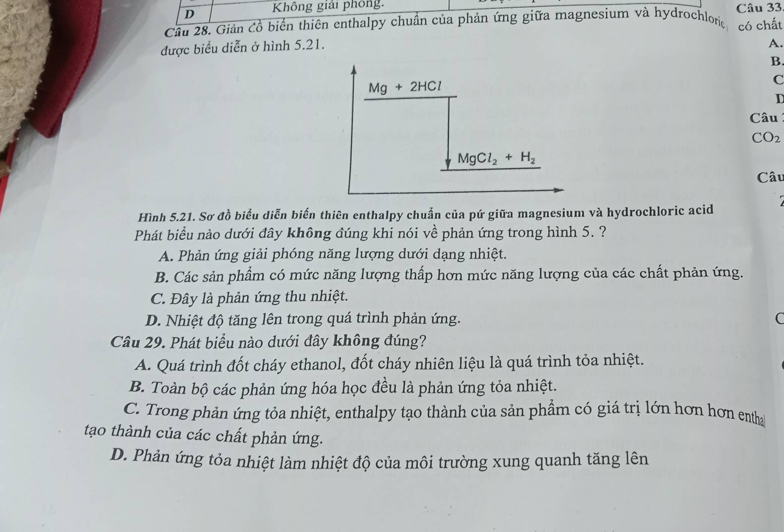 Không giải phòng.
D Câu 33
Cầu 28. Giản Cổ biển thiên enthalpy chuẩn của phản ứng giữa magnesium và hydrochloric
được biểu diễn ở hình 5.21. có chất
A.
B
Mg+2HCl
C
D
Câu
CO_2
MgCl_2+H_2
Câu
Hình 5.21. Sơ đồ biểu diễn biến thiên enthalpy chuẩn của pứ giữa magnesium và hydrochloric acid
Phát biểu nào dưới đây không đúng khi nói về phản ứng trong hình 5. ?
A. Phản ứng giải phóng năng lượng dưới dạng nhiệt.
B. Các sản phẩm có mức năng lượng thấp hơn mức năng lượng của các chất phản ứng.
C. Đây là phản ứng thu nhiệt.
D. Nhiệt độ tăng lên trong quá trình phản ứng. C
Câu 29. Phát biểu nào dưới đây không đúng?
A. Quá trình đốt cháy ethanol, đốt cháy nhiên liệu là quá trình tỏa nhiệt.
B. Toàn bộ các phản ứng hóa học đều là phản ứng tỏa nhiệt.
C. Trong phản ứng tỏa nhiệt, enthalpy tạo thành của sản phầm có giá trị lớn hơn hơn entha
tạo thành của các chất phản ứng.
D. Phản ứng tỏa nhiệt làm nhiệt độ của môi trường xung quanh tăng lên