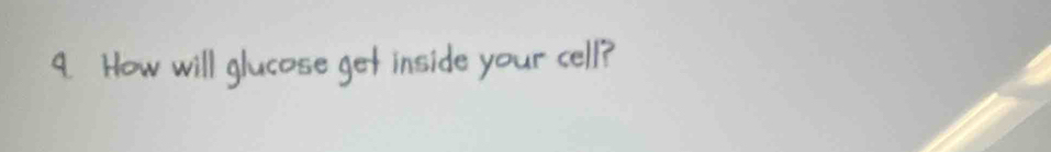 How will glucose get inside your cell?