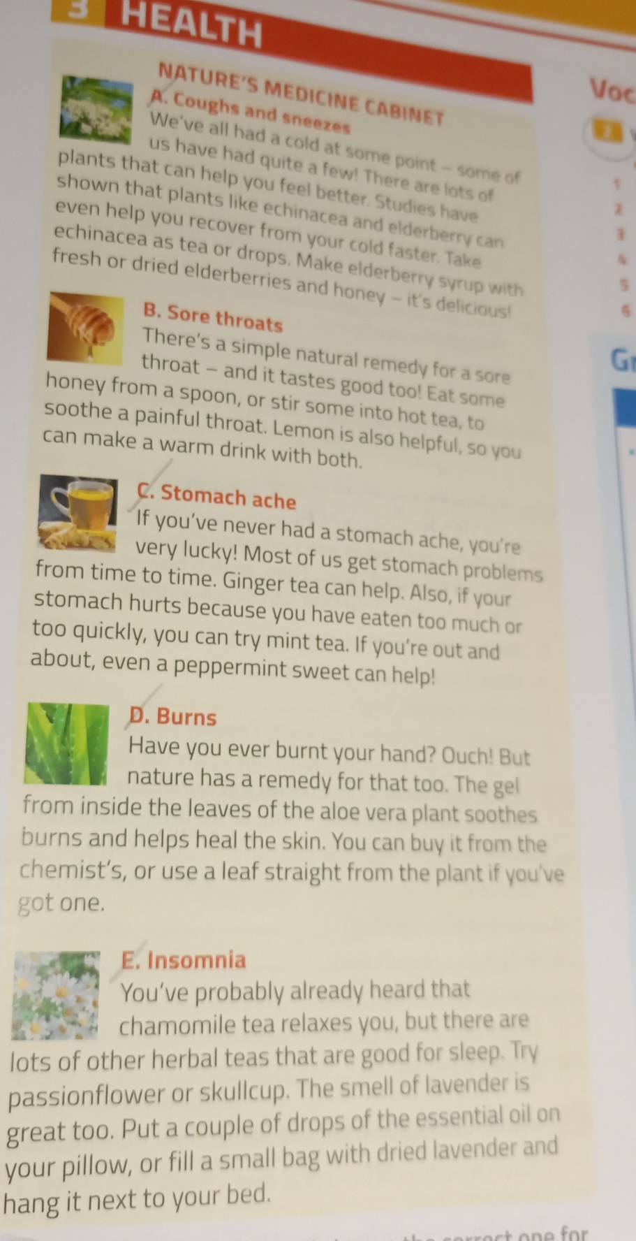 HEaLTH 
Voc 
NATURE'S MEDICINE CABINET 
A. Coughs and sneezes 
We've all had a cold at some point - some of 
us have had quite a few! There are lots of 
1 
plants that can help you feel better. Studies have 
shown that plants like echinacea and elderberry can 
even help you recover from your cold faster. Take 
3 
echinacea as tea or drops. Make elderberry syrup with 
5 
fresh or dried elderberries and honey - it's delicious! 
5 
B. Sore throats 
There's a simple natural remedy for a sore 
G 
throat — and it tastes good too! Eat some 
honey from a spoon, or stir some into hot tea, to 
soothe a painful throat. Lemon is also helpful, so you 
can make a warm drink with both. 
C. Stomach ache 
If you’ve never had a stomach ache, you're 
very lucky! Most of us get stomach problems 
from time to time. Ginger tea can help. Also, if your 
stomach hurts because you have eaten too much or 
too quickly, you can try mint tea. If you’re out and 
about, even a peppermint sweet can help! 
D. Burns 
Have you ever burnt your hand? Ouch! But 
nature has a remedy for that too. The gel 
from inside the leaves of the aloe vera plant soothes 
burns and helps heal the skin. You can buy it from the 
chemist’s, or use a leaf straight from the plant if you've 
got one. 
E. Insomnia 
You’ve probably already heard that 
chamomile tea relaxes you, but there are 
lots of other herbal teas that are good for sleep. Try 
passionflower or skullcup. The smell of lavender is 
great too. Put a couple of drops of the essential oil on 
your pillow, or fill a small bag with dried lavender and 
hang it next to your bed.