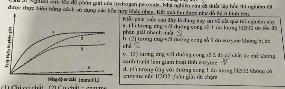 3: Nghiên cứu tốc độ phân giải của hydrogen peroxide. Nhà nghiên cứu đã thiết lập bốn thí nghiệm đã
được thực hiện bằng cách sử dụng các hỗn hợp khác nhau. Kết quả thu được như đồ thị ở hình bên.
Mỗi phát biểu sau đây là đúng hay sai về kết quả thí nghiệm này. (1) tương ứng với đường cong số 1 do lượng H2O2 do tốc độ
hân giải nhanh nhất. (2) tương ứng với đường cong số 3 do enzyme không bị ức
hế. (3) tương ứng với đường cong số 2 do có chất ức chế không
ạnh tranh làm giảm hoạt tính enzyme. (4) tương ứng với đường cong 1 do lượng H2O2 không có
enzyme nên H2O2 phân giải rất chậm
(1) Chi cơ chất (2) Cơ chất + enzyms