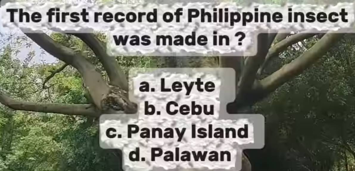 Solved: The first record of Philippine insect was made in ? a. Leyte b ...