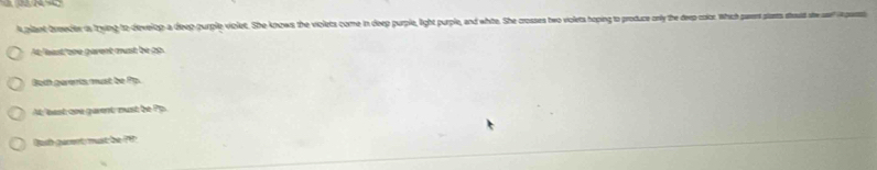 A plant breeder is lying to-develop a deep-purple violet. She knows the violets come in deep purple, light purple, and white. She crosses two violets hoping to produce only the deep color. Which parers slarts stousd she a i parts
At least'ore parent must be op.
Both garents must be Pp.
At least ore garent nust be Pp.
Buth garent must be PP