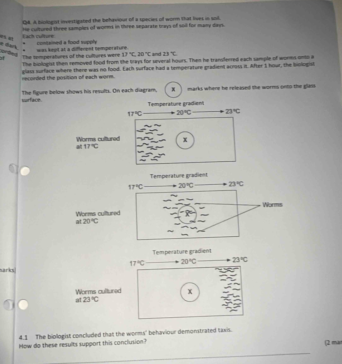 A biologist investigated the behaviour of a species of worm that lives in soil,
He cultured three samples of worms in three separate trays of soil for many days.
es at
Each culture:
e dark
contained a food supply
was kept at a different temperature.
orded
of The temperatures of the cultures were 17°C,20°C and 23°C
The biologist then removed food from the trays for several hours. Then he transferred each sample of worms onto a
glass surface where there was no food. Each surface had a temperature gradient across it. After 1 hour, the biologist
recorded the position of each worm.
The figure below shows his results. On each diagram, x marks where he released the worms onto the glass
surface.
Temperature gradient
17°C
20°C
23°C
Worms cultured x
at 17°C
Temperature gradient
17°C
20°C
23°C
Worms
Worms cultured
at 20°C
Temperature gradient
arks
Worms culture
at 23°C
4.1 The biologist concluded that the worms’ behaviour demonstrated taxis.
How do these results support this conclusion?
(2 mar
_