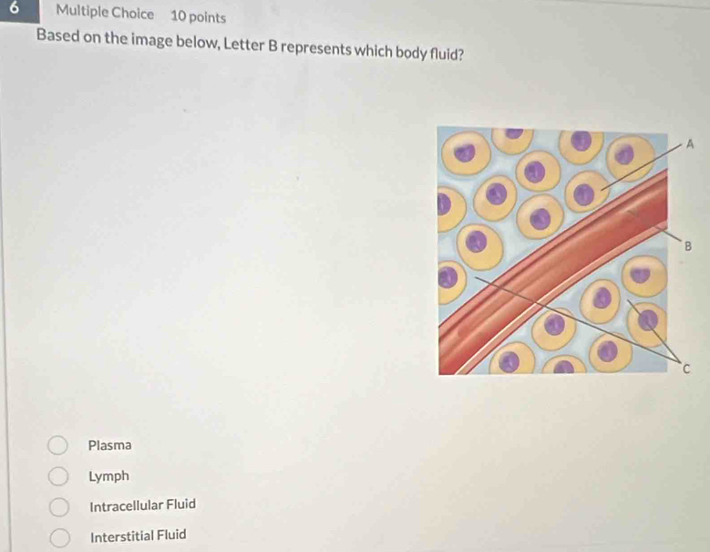 Based on the image below, Letter B represents which body fluid?
Plasma
Lymph
Intracellular Fluid
Interstitial Fluid