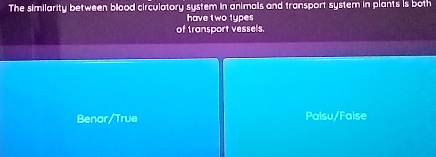 The similarity between blood circulatory system in animals and transport system in plants is both
have two types
of transport vessels.
Benar/True Palsu/False