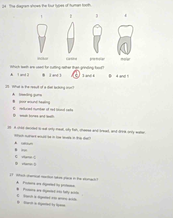 The diagram shows the four types of human tooth.
1 2 3 4
Incisor canine premolar molar
Which teeth are used for cutting rather than grinding food?
7
A 1 and 2 B 2 and 3 C 3 and 4 D 4 and 1
25 What is the result of a diet lacking iron?
A bleeding gums
B poor wound healing
C reduced number of red blood cells
D weak bones and teeth
26 A child decided to eat only meat, oily fish, cheese and bread, and drink only water.
Which nutrient would be in low levels in this diet?
A calcium
B iron
C vitamin C
D vitamin D
27 Which chemical reaction takes place in the stomach?
A Proteins are digested by protease.
B Prossins are digested into fatty acids
C Starch is digested into amino acids.
D Starch is digested by lipase