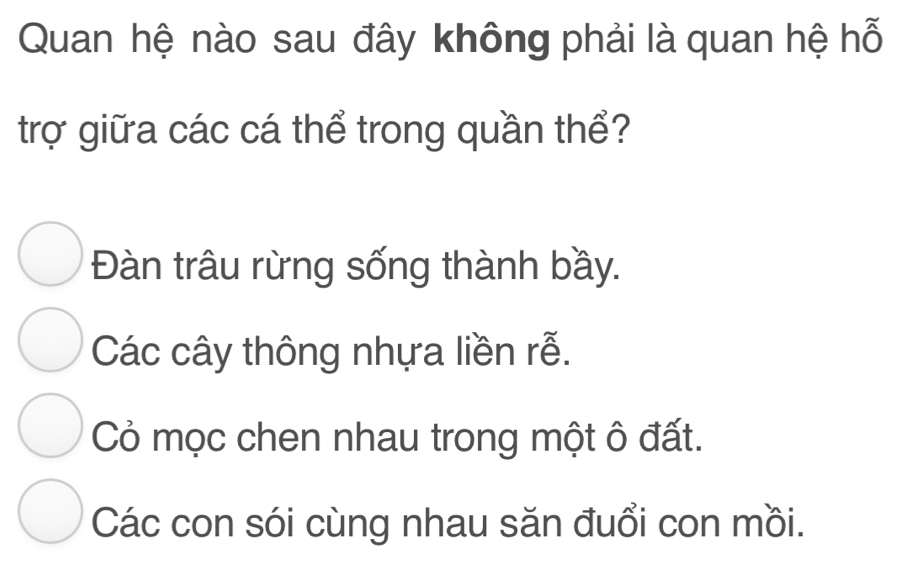 Quan hệ nào sau đây không phải là quan hệ hỗ
trợ giữa các cá thể trong quần thể?
Đàn trâu rừng sống thành bầy.
Các cây thông nhựa liền rễ.
Cỏ mọc chen nhau trong một ô đất.
Các con sói cùng nhau săn đuổi con mồi.