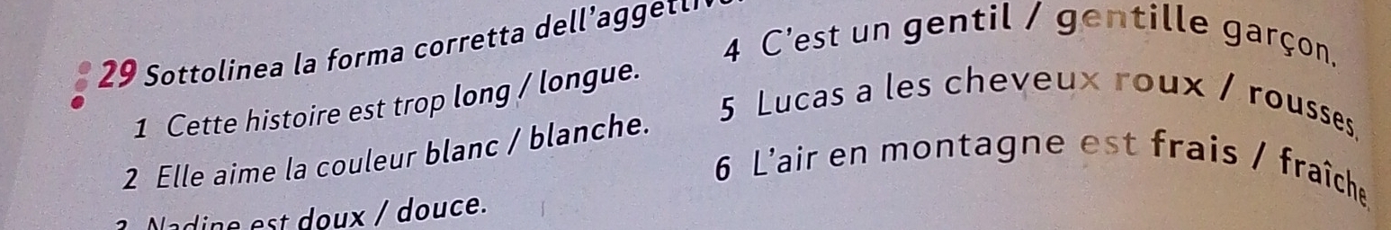 C'est un gentil / gentille garçon. 
2 9 ottolinea la forma corretta de 'gt 
1 Cette histoire est trop long / longue. 
5 Lucas a les cheveux roux / rousses. 
2 Elle aime la couleur blanc / blanche. 
6 L'air en montagne est frais / fraîche 
Nadine est doux / douce.