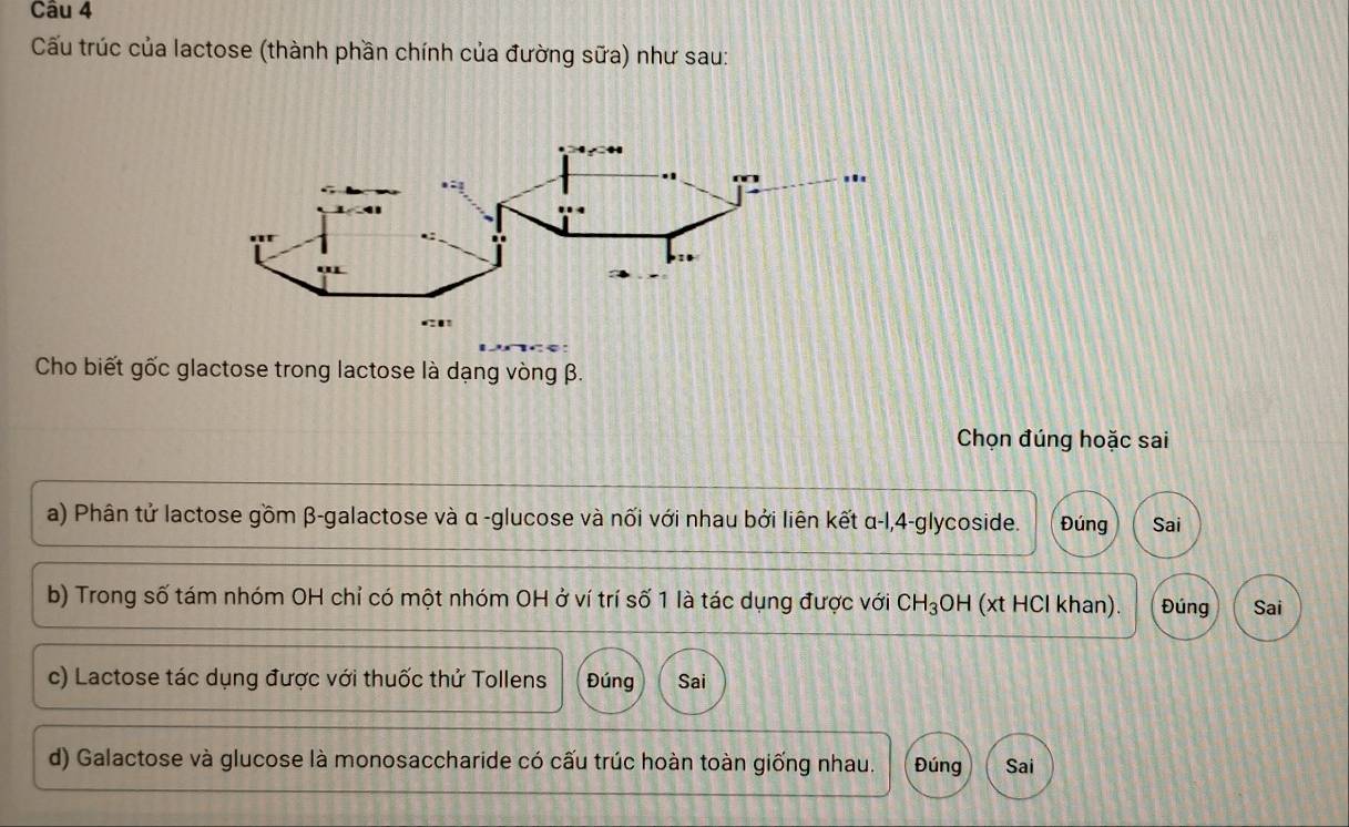 Cầu trúc của lactose (thành phần chính của đường sữa) như sau:
Cho biết gốc glactose trong lactose là dạng vòng β.
Chọn đúng hoặc sai
a) Phân tử lactose gồm β -galactose và α -glucose và nối với nhau bởi liên kết α-l, 4 -glycoside. Đúng Sai
b) Trong số tám nhóm OH chỉ có một nhóm OH ở ví trí số 1 là tác dụng được với CH_3 OH (xt HCl khan). Đúng Sai
c) Lactose tác dụng được với thuốc thử Tollens Đúng Sai
d) Galactose và glucose là monosaccharide có cấu trúc hoàn toàn giống nhau. Đúng Sai