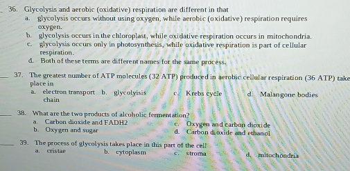 Glycolysis and aerobic (oxidative) respiration are different in that
a glycolysis occurs without using oxygen, while aerobic (oxidative) respiration requires
oxygen.
b. glycolysis occurs in the chloroplast, while oxidative respiration occurs in mitochondria.
c. glycolysis occurs only in photosynthesis, while oxidative respiration is part of cellular
respiration.
d. Both of these terms are different names for the same process.
_37. The greatest number of ATP molecules (32 ATP) produced in aerobic cellular respiration (36 ATP) take
place in
a. electron transport b. glycolyisis c. Krebs cycle d. Malangone bodies
chain
_38. What are the two products of alcoholic fermentation?
a. Carbon dioxide and FADH2 c. Oxygen and carbon dioxide
b. Oxygen and sugar d. Carbon dioxide and ethanol
_39. The process of glycolysis takes place in this part of the cell
a. cristae b. cytoplasm c. stroma d. mitochöndria