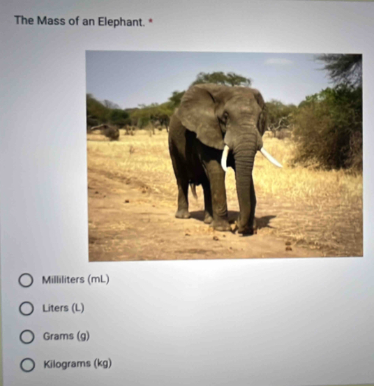 The Mass of an Elephant. *
Milliliters (mL)
Liters (L)
Grams (g)
Kilograms (kg)