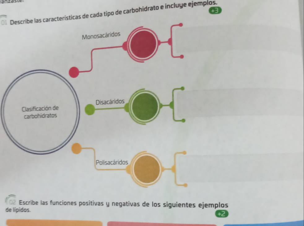 vanzäste 
icas de cada tipo de carbohidrato e incluye ejemplos. 
Escribe las funciones positivas y negativas de los siguientes ejemplos 
de lípidos.