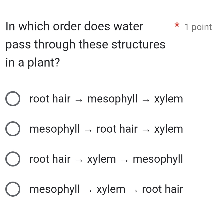 In which order does water * 1 point
pass through these structures
in a plant?
root hair → mesophyll → xylem
mesophyll → root hair → xylem
root hair → xylem → mesophyll
mesophyll →xylem → root hair