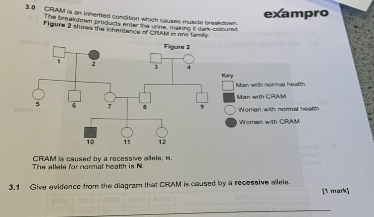 Solved: exampro 3.0 CRAM is an inherited condition which causes muscle ...