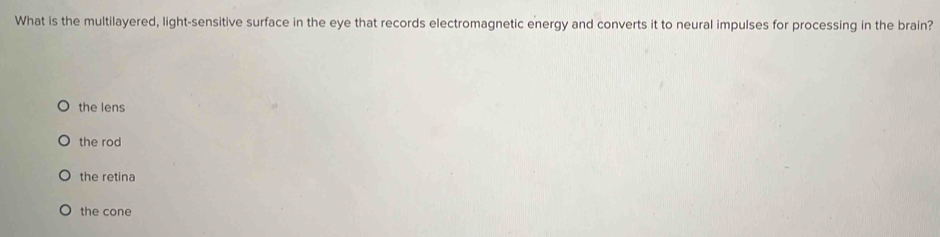 What is the multilayered, light-sensitive surface in the eye that records electromagnetic energy and converts it to neural impulses for processing in the brain?
the lens
the rod
the retina
the cone