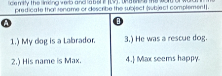 identify the linking verb and label it (LV), underlins the word of wor 
predicate that rename or describe the subject (subject complement). 
a 
B 
1.) My dog is a Labrador. 3.) He was a rescue dog. 
2.) His name is Max. 4.) Max seems happy.