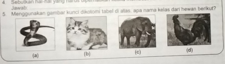 Sebutkan hai-hai yang harus ulperatik
Jawab:
5. Menggunakan gambar kunci dikotomi tabel di atas apa nama kelas dari hewan berikut?
(a) (b) (c)
(d)