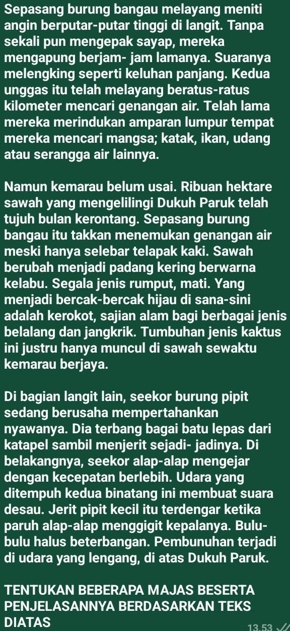 Sepasang burung bangau melayang meniti
angin berputar-putar tinggi di langit. Tanpa
sekali pun mengepak sayap, mereka
mengapung berjam- jam lamanya. Suaranya
melengking seperti keluhan panjang. Kedua
unggas itu telah melayang beratus-ratus
kilometer mencari genangan air. Telah lama
mereka merindukan amparan lumpur tempat
mereka mencari mangsa; katak, ikan, udang
atau serangga air lainnya.
Namun kemarau belum usai. Ribuan hektare
sawah yang mengelilingi Dukuh Paruk telah
tujuh bulan kerontang. Sepasang burung
bangau itu takkan menemukan genangan air
meski hanya selebar telapak kaki. Sawah
berubah menjadi padang kering berwarna
kelabu. Segala jenis rumput, mati. Yang
menjadi bercak-bercak hijau di sana-sini
adalah kerokot, sajian alam bagi berbagai jenis
belalang dan jangkrik. Tumbuhan jenis kaktus
ini justru hanya muncul di sawah sewaktu
kemarau berjaya.
Di bagian langit lain, seekor burung pipit
sedang berusaha mempertahankan
nyawanya. Dia terbang bagai batu lepas dari
katapel sambil menjerit sejadi- jadinya. Di
belakangnya, seekor alap-alap mengejar
dengan kecepatan berlebih. Udara yang
ditempuh kedua binatang ini membuat suara
desau. Jerit pipit kecil itu terdengar ketika
paruh alap-alap menggigit kepalanya. Bulu-
bulu halus beterbangan. Pembunuhan terjadi
di udara yang lengang, di atas Dukuh Paruk.
TENTUKAN BEBERAPA MAJAS BESERTA
PENJELASANNYA BERDASARKAN TEKS
DIATAS 13 53