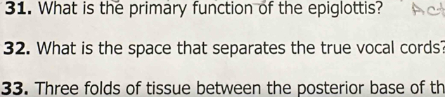 What is the primary function of the epiglottis? 
32. What is the space that separates the true vocal cords? 
33. Three folds of tissue between the posterior base of th