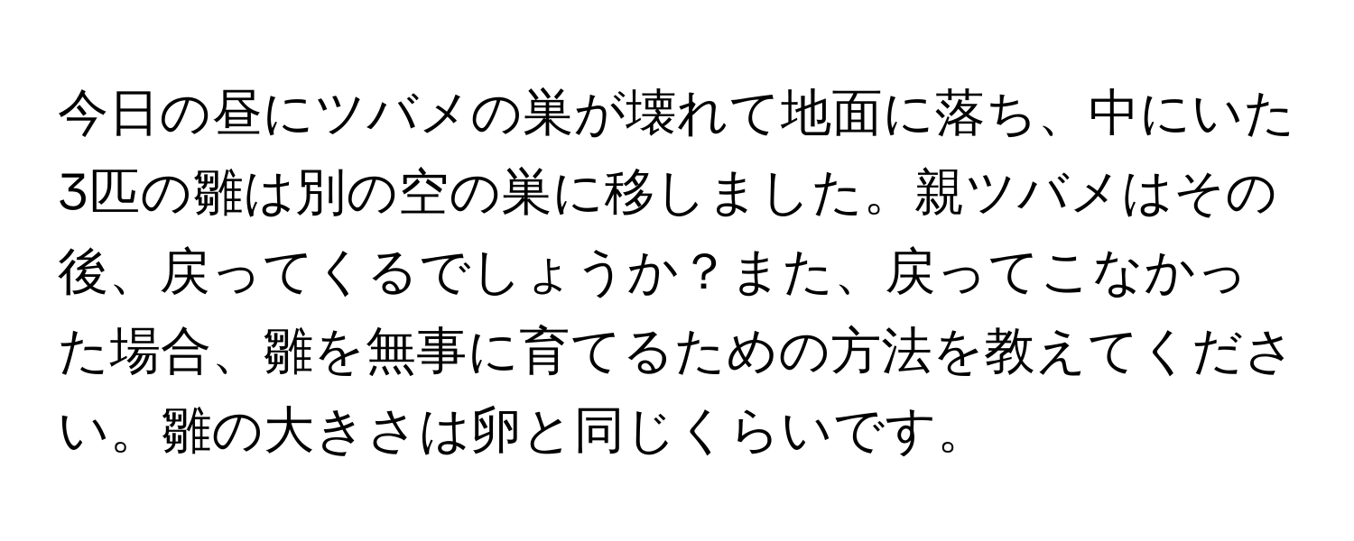 今日の昼にツバメの巣が壊れて地面に落ち、中にいた3匹の雛は別の空の巣に移しました。親ツバメはその後、戻ってくるでしょうか？また、戻ってこなかった場合、雛を無事に育てるための方法を教えてください。雛の大きさは卵と同じくらいです。