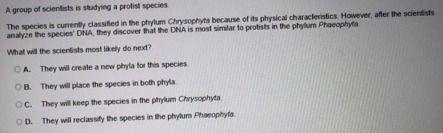 A group of scientists is studying a protist species.
The species is currently classified in the phylum Chrysophyta because of its physical characteristics. However, after the scientists
analyze the species' DNA, they discover that the DNA is most similar to protists in the phylum Phaeophyta.
What will the scientists most likely do next?
A. They will create a new phyla for this species.
B. They will place the species in both phyla.
C. They will keep the species in the phylum Chrysophyta.
D. They will reclassify the species in the phylum Phaeophyta.