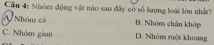 Nhóm động vật nào sau đây có số lượng loài lớn nhất?
A Nhóm cá B. Nhóm chân khớp
C. Nhóm giun D. Nhóm ruột khoang