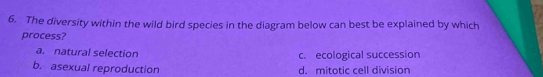 The diversity within the wild bird species in the diagram below can best be explained by which
process?
a. natural selection c. ecological succession
b. asexual reproduction d. mitotic cell division