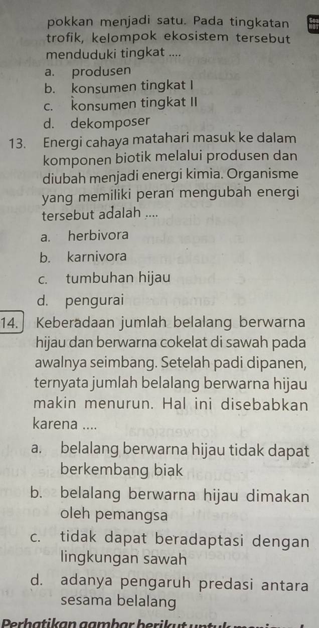 pokkan menjadi satu. Pada tingkatan Sea
trofik, kelompok ekosistem tersebut
menduduki tingkat ....
a. produsen
b. konsumen tingkat I
c. konsumen tingkat II
d. dekomposer
13. Energi cahaya matahari masuk ke dalam
komponen biotik melalui produsen dan
diubah menjadi energi kimia. Organisme
yang memiliki peran mengubah energi
tersebut adalah ....
a. herbivora
b. karnivora
c. tumbuhan hijau
d. pengurai
14. Keberadaan jumlah belalang berwarna
hijau dan berwarna cokelat di sawah pada
awalnya seimbang. Setelah padi dipanen,
ternyata jumlah belalang berwarna hijau
makin menurun. Hal ini disebabkan
karena ....
a. belalang berwarna hijau tidak dapat
berkembang biak
b. belalang berwarna hijau dimakan
oleh pemangsa
c. tidak dapat beradaptasi dengan
lingkungan sawah
d. adanya pengaruh predasi antara
sesama belalang
Perbatikan gambar berikut