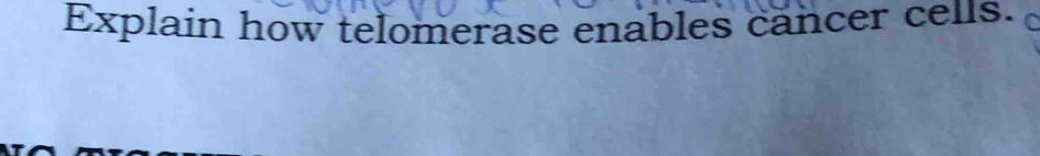 Explain how telomerase enables cancer cells.