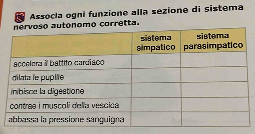 a Associa ogni funzione alla sezione di sistema 
utonomo corretta.