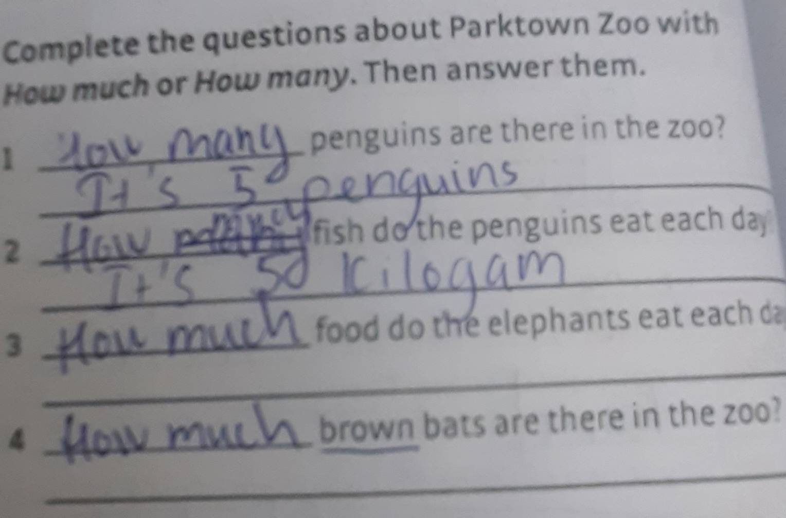 Complete the questions about Parktown Zoo with 
How much or How many. Then answer them. 
penguins are there in the zoo? 
_ 
_1 
fish do the penguins eat each day 
_ 
_2 
_3 
food do the elephants eat each da 
_ 
_4 
brown bats are there in the zoo? 
_